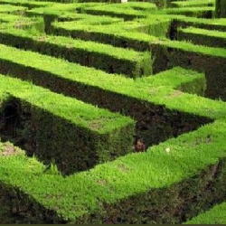 Reverse maze Reverse maze