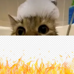 mitker's avatar