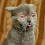 Pedro___101's avatar