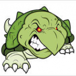 Turtle's avatar