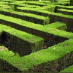 Reverse maze