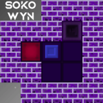 Sokowyn